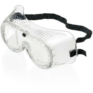 Beeswift BBGPG General Purpose Goggles Clear
